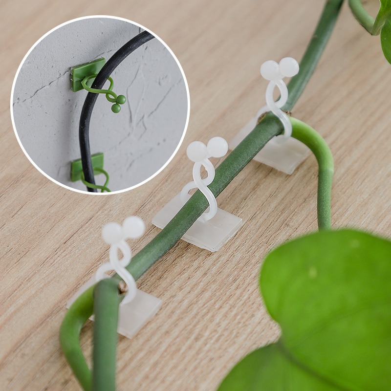Vine Climbing Plastic - 10 個植物壁固定フックユニバーサルつる性植物ホルダー家庭用緑植物トレリスファスナー