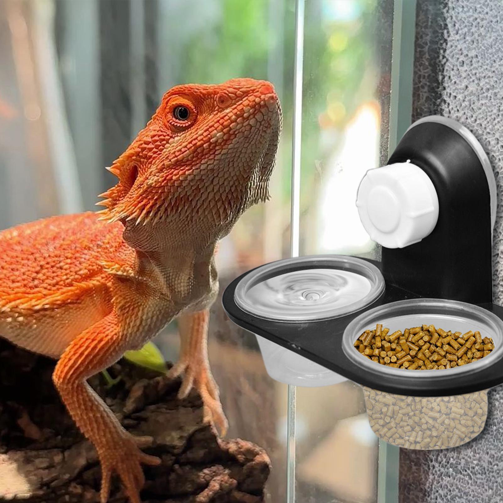 Water Dish Reptile - ヤモリ用フードディッシュ、ヤモリ用ウォーターディッシュディスペンサー、4カップ付き棚アクセサリー、タランチュラ、カエル、トカゲ、カメレオン、ヤドカリ用トレイ