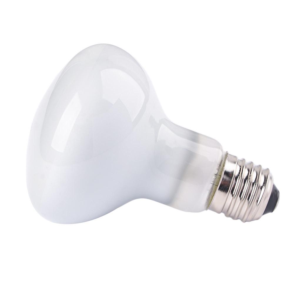 リザードヒーターヒートランプUVAライト爬虫類ハロゲン電球日 - Basking Bulb Halogen のレビューと価格