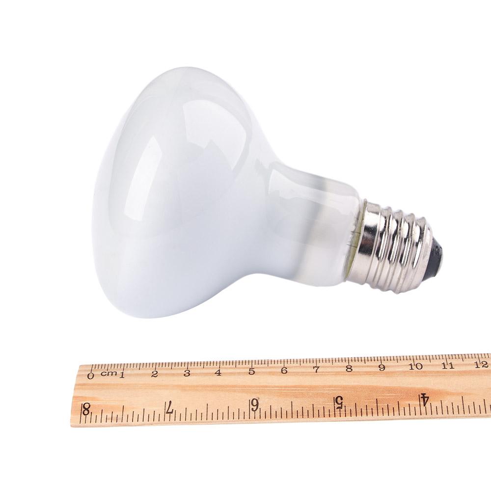 リザードヒーターヒートランプUVAライト爬虫類ハロゲン電球日 - Basking Bulb Halogen のレビューと価格