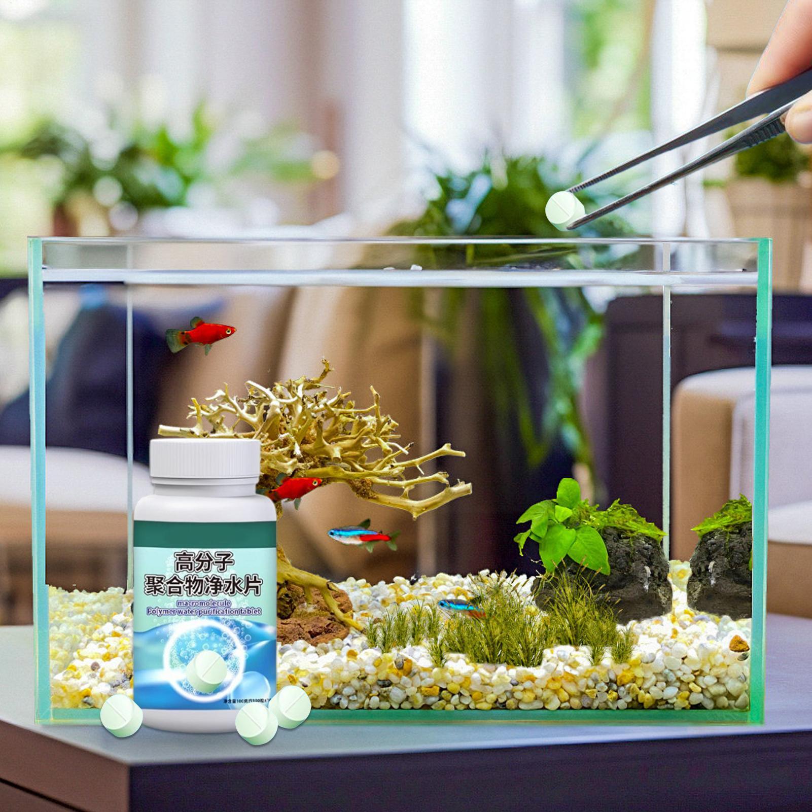 魚の水槽藻類除去剤、水槽浄化タブレット、噴水、ベタ、エビ、カ - Water Dish Reptile のレビューと価格