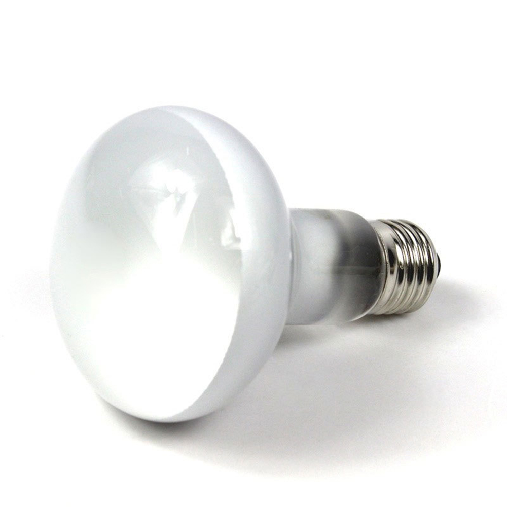 リザードヒーター温度コントローラー ハロゲン電球 UVAライ - Basking Bulb Halogen のレビューと価格