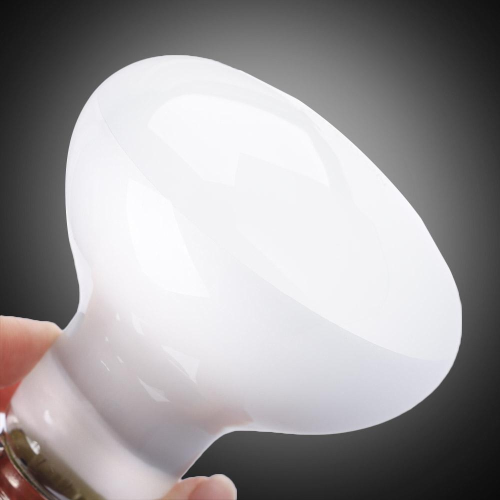 リザードヒーター温度コントローラー ハロゲン電球 UVAライ - Basking Bulb Halogen のレビューと価格