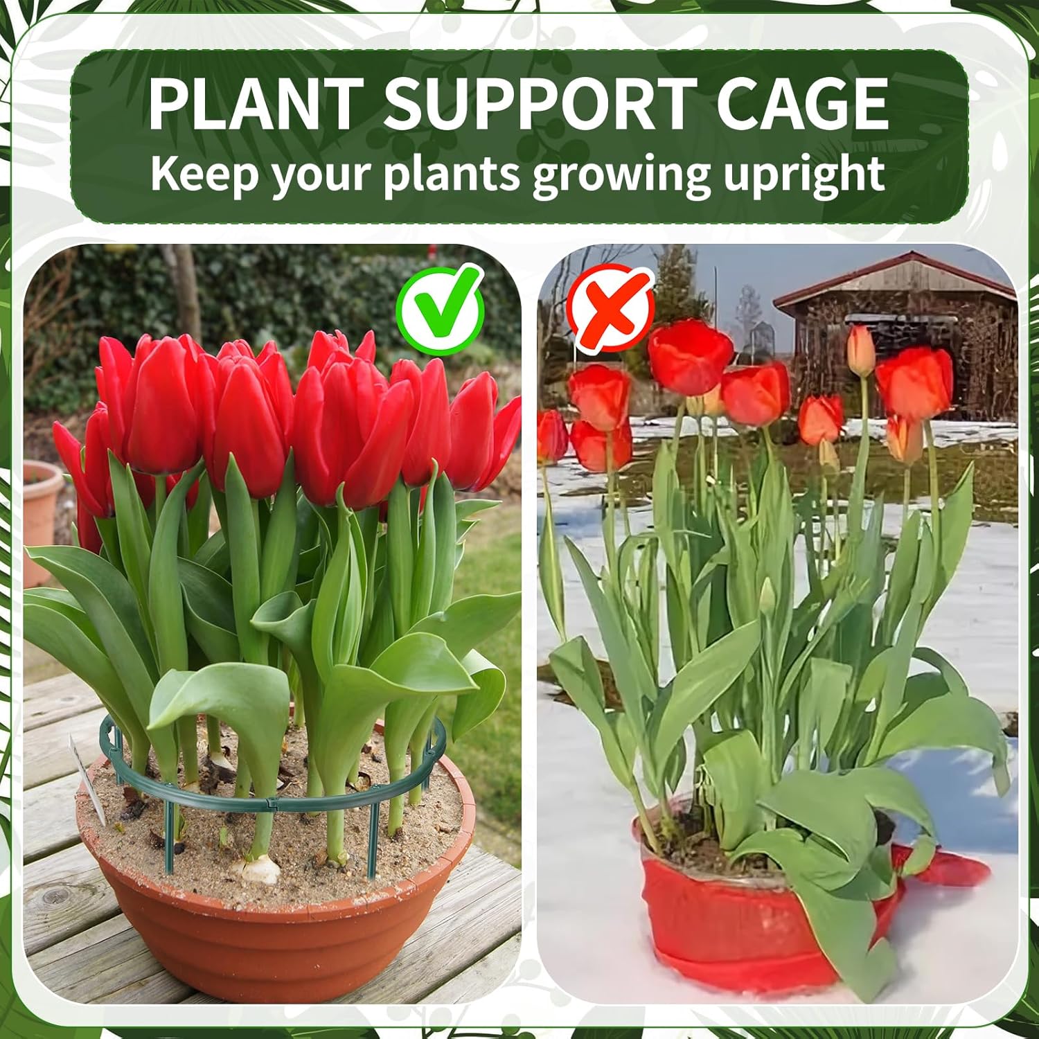 1/16個入り 植物支柱 花温室用固定棒ホルダー スタンド杭 - Vine Climbing Plastic のレビューと価格