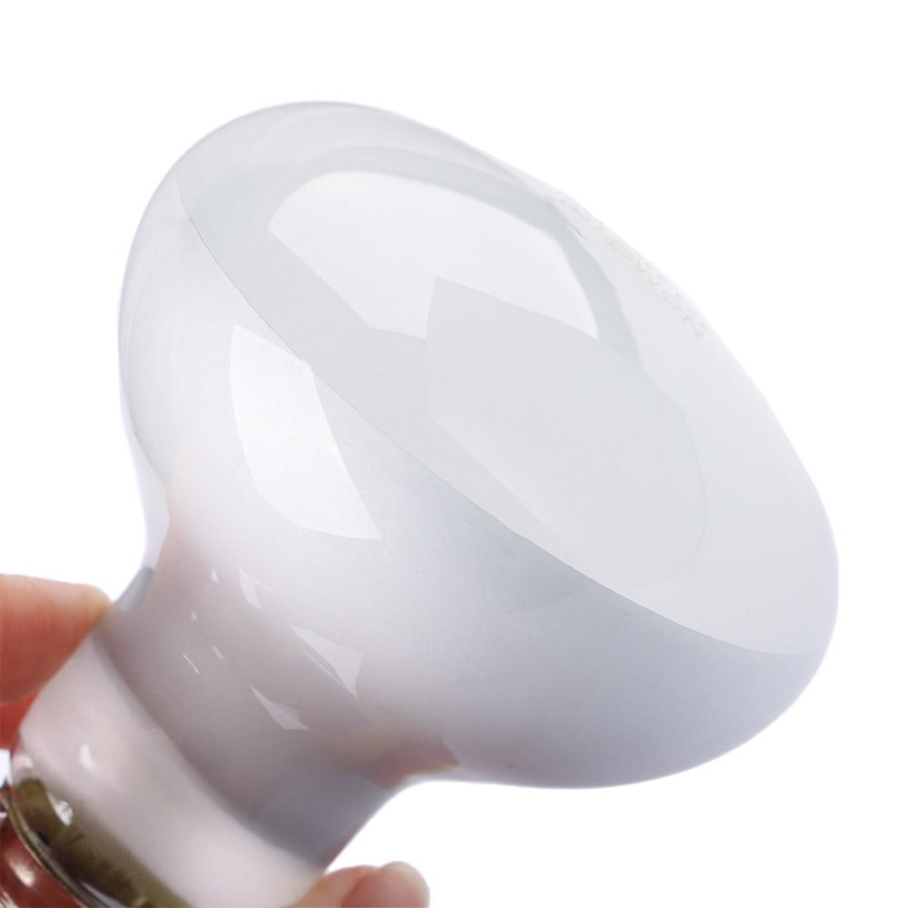リザードヒーター温度調節器 バスキングライト ハロゲン電球  - Basking Bulb Halogen のレビューと価格