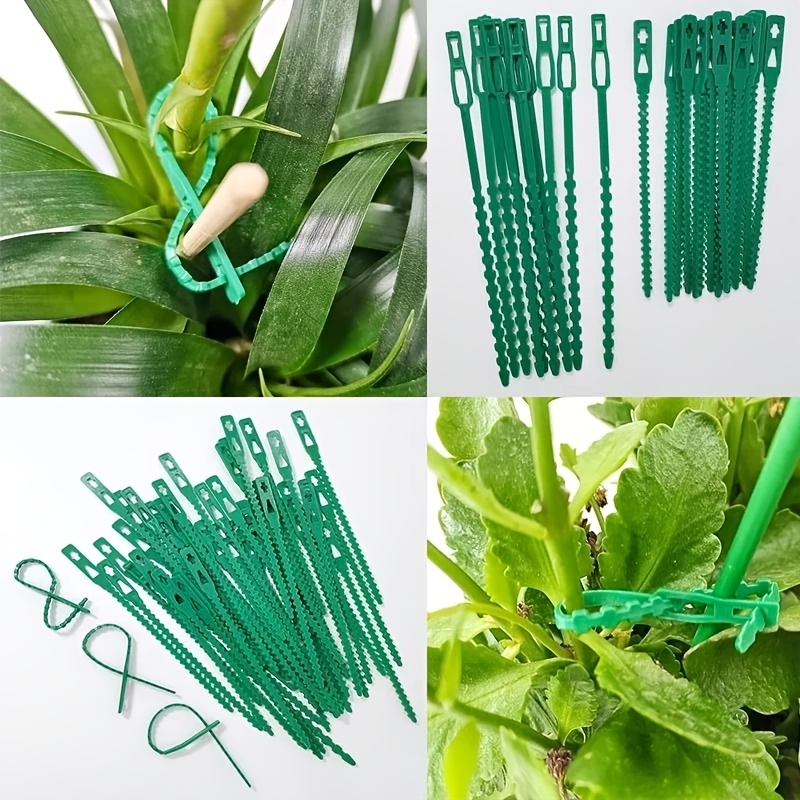 100個入り 再利用可能な調整可能な植物結束バンド、つる性植 - Vine Climbing Plastic のレビューと価格