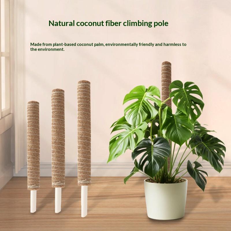 1 個植物成長牽引ロッド植物登攀固定ブラケットサポート用つる - Vine Climbing Plastic のレビューと価格