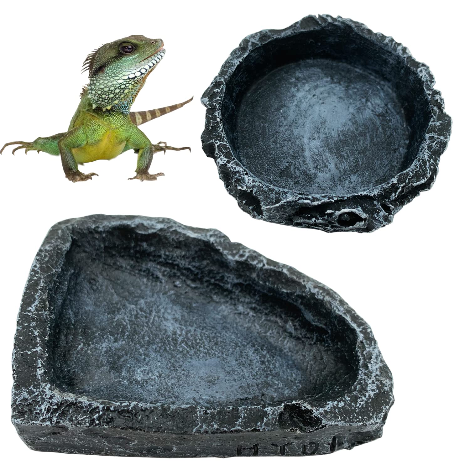 1/2パック爬虫類用餌入れコーナーボウル、爬虫類用給水器フー - Water Dish Reptile のレビューと価格