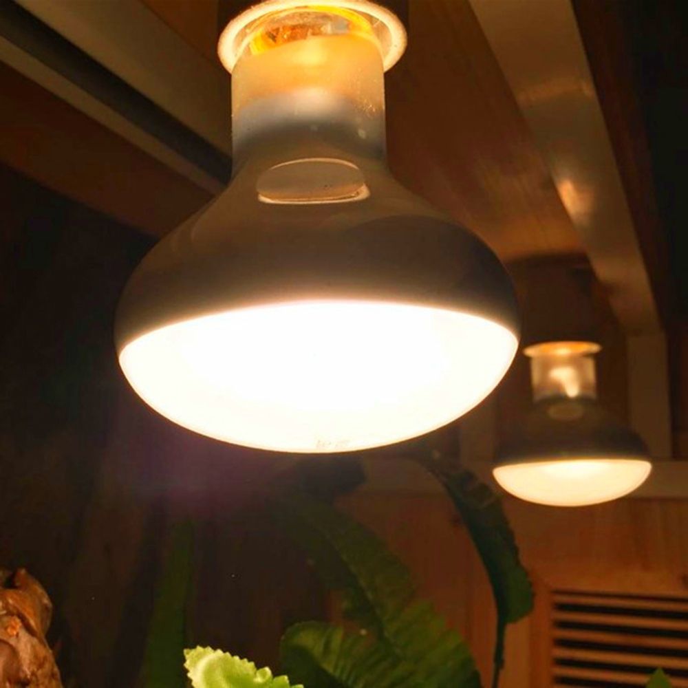 カメ用温度調節器 ヒートランプ 日光浴ライト ハロゲン電球  - Basking Bulb Halogen のレビューと価格