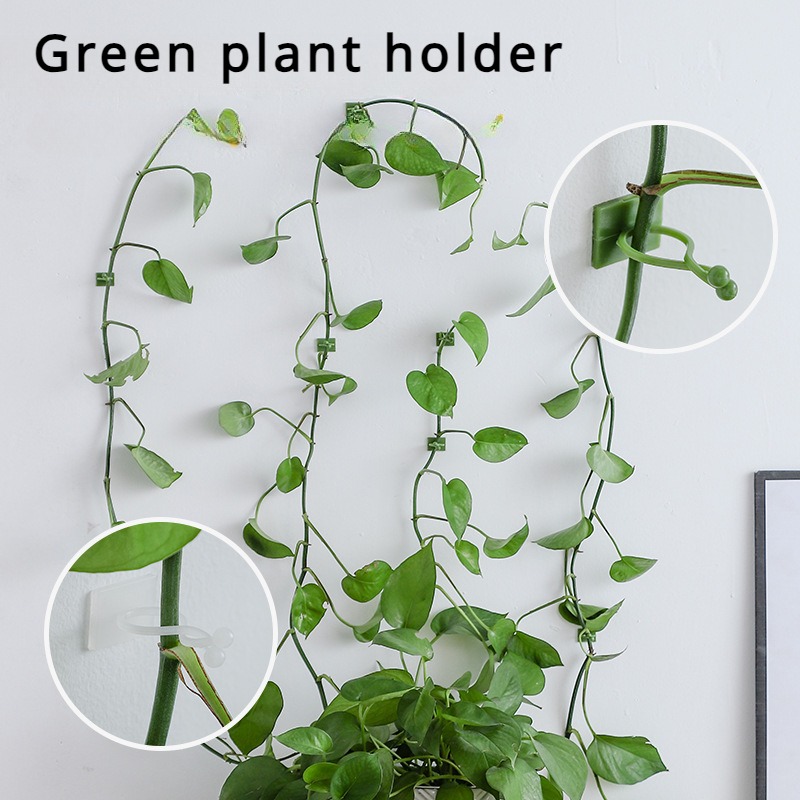 10 個植物壁固定フックユニバーサルつる性植物ホルダー家庭用 - Vine Climbing Plastic のレビューと価格