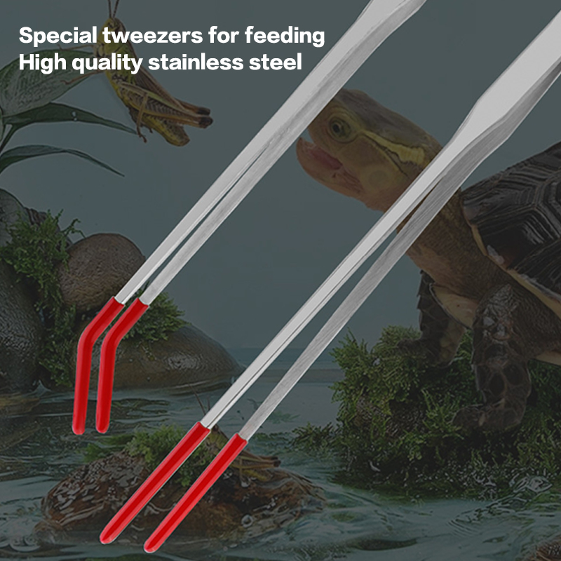 ステンレス鋼爬虫類用給餌トング ゴムチップ付き水槽用ストレー - Feeding Tong Stainless のレビューと価格