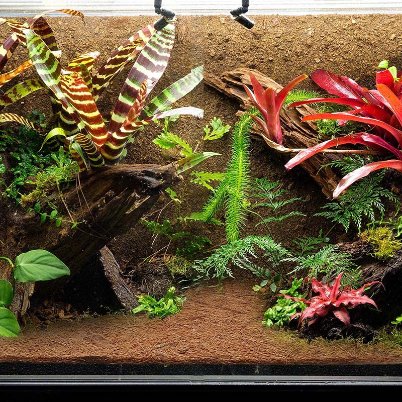 HITL天然ココナッツファイバーマット、爬虫類用カーペット、 - Substrate Coconut Fiber のレビューと価格