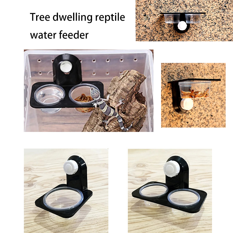 ペット用の爬虫類タンクアクセサリー,餌と給水ボウル,昆虫,ク - Water Dish Reptile のレビューと価格