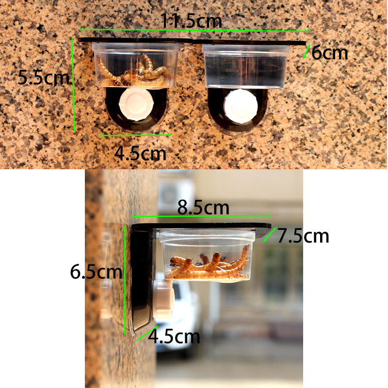 ペット用の爬虫類タンクアクセサリー,餌と給水ボウル,昆虫,ク - Water Dish Reptile のレビューと価格
