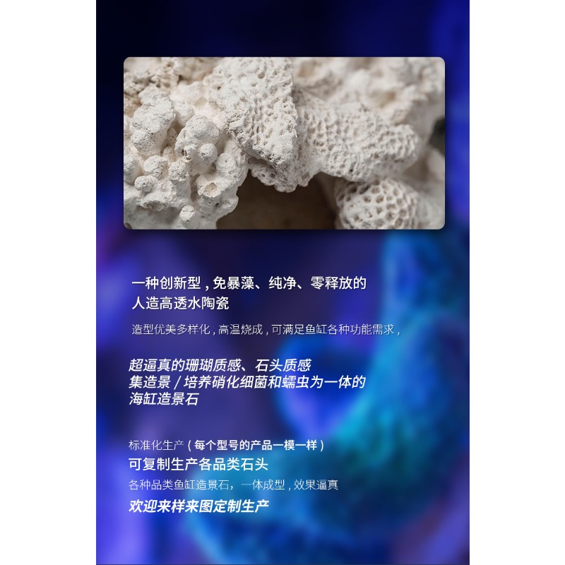 釉薬をかけたセラミック製イソギンチャクオーナメント、クマノミ - Hide Cave Ceramic のレビューと価格