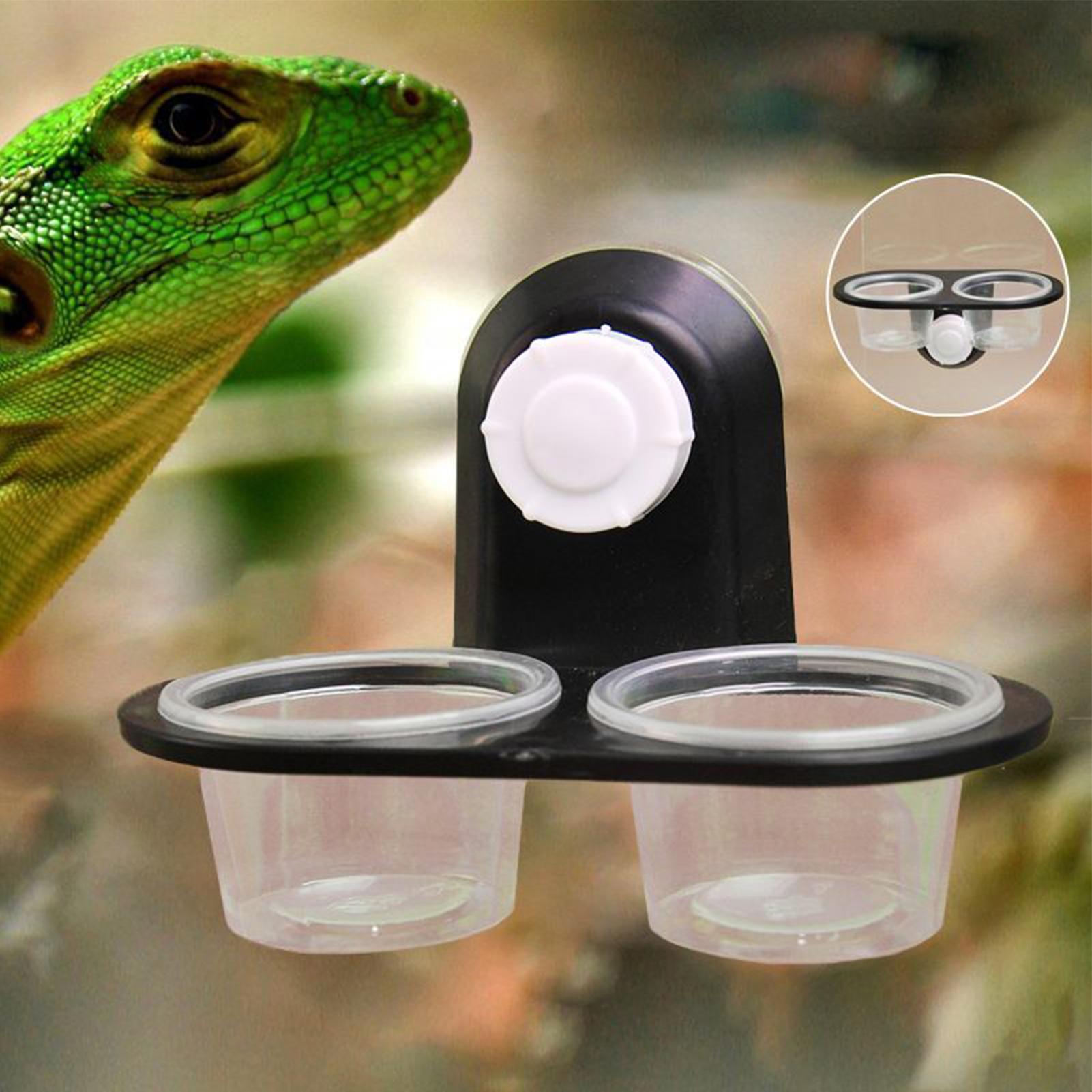 ゲッコーフィーダーレッジ、取り外し可能な吸盤付き、爬虫類用給 - Water Dish Reptile のレビューと価格
