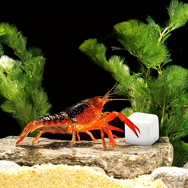 6個入り水槽用カルシウムブロックミネラル、爬虫類用研磨キュー - Calcium Powder Reptile のレビューと価格