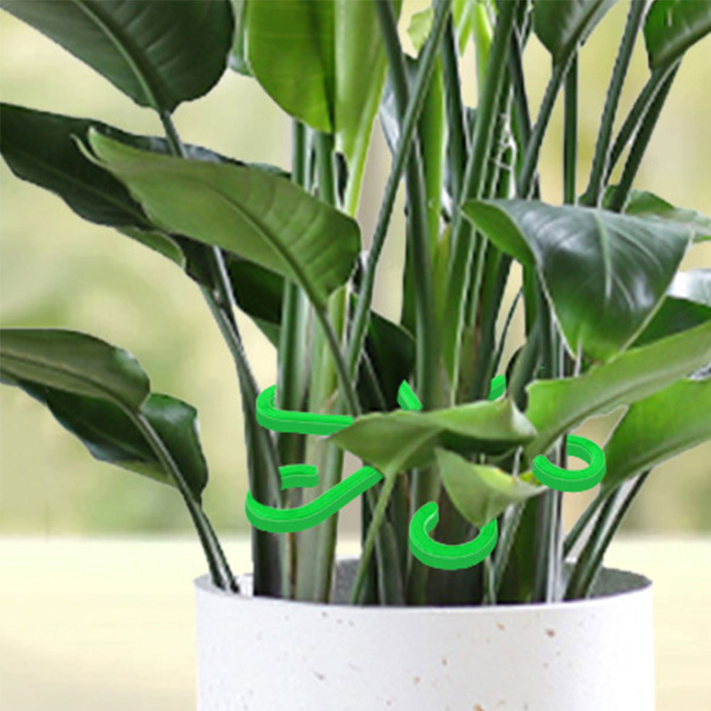 12個入り 植物茎ホルダー プラスチック製サポートクリップ  - Vine Climbing Plastic のレビューと価格