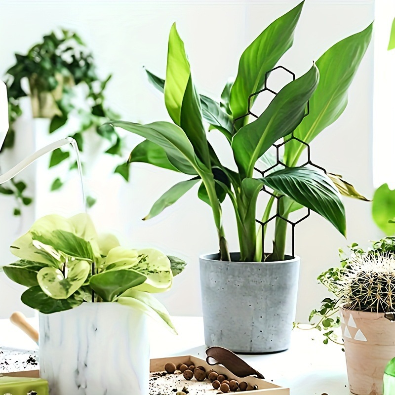 1PC ハニカムデザイン植物トレリス、鉢植えのつるや花用の防 - Vine Climbing Plastic のレビューと価格